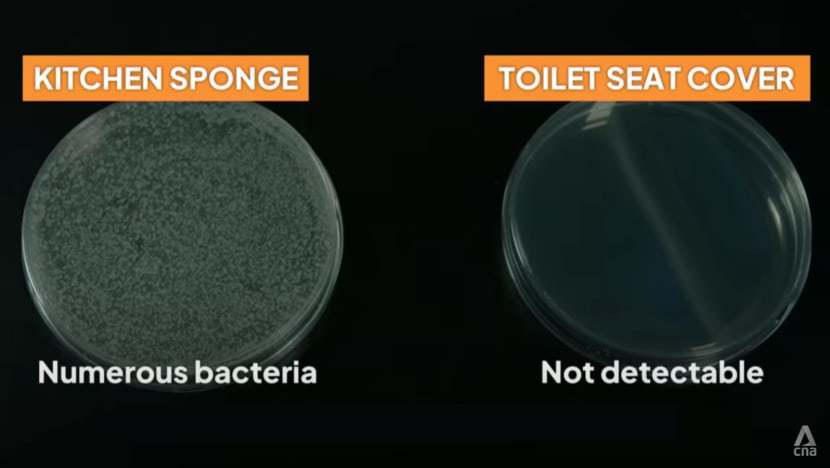 When to Replace Your Scrubber Or Sponge to Avoid Bacteria